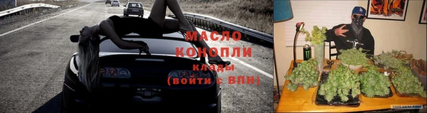 индика Ступино